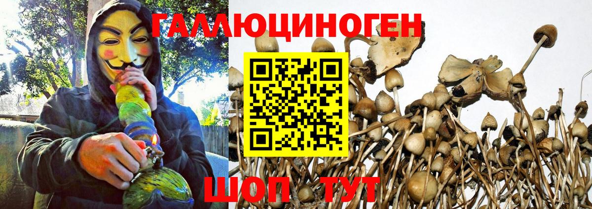 Галлюциногенные грибы MAGIC MUSHROOMS Орск